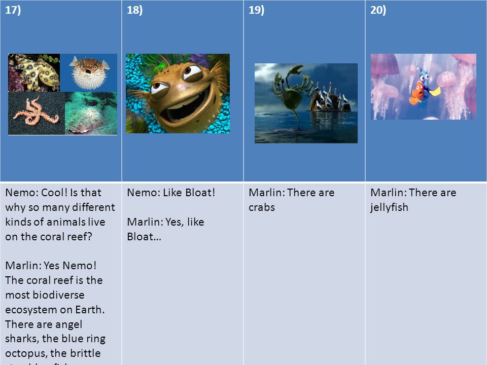 17)18)19)20) Nemo: Cool. Is that why so many different kinds of animals live on the coral reef.