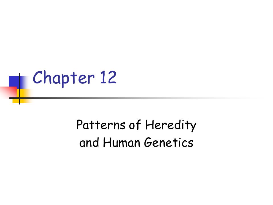 Genetics Practice Problems Pedigree Tables Worksheet Answers Genetics Practice Problems Pedigree Tables Worksheet Answers