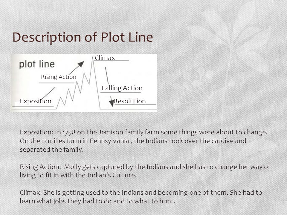 Description of Plot Line Exposition Rising Action Climax Falling Action Resolution Exposition: In 1758 on the Jemison family farm some things were about to change.