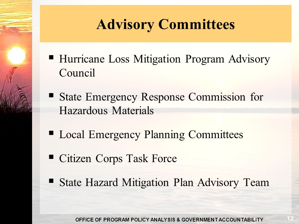 OFFICE OF PROGRAM POLICY ANALYSIS & GOVERNMENT ACCOUNTABILITY Advisory Committees  Hurricane Loss Mitigation Program Advisory Council  State Emergency Response Commission for Hazardous Materials  Local Emergency Planning Committees  Citizen Corps Task Force  State Hazard Mitigation Plan Advisory Team 12