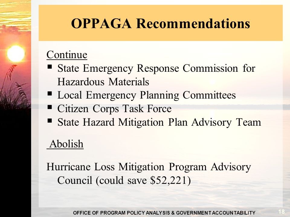 OFFICE OF PROGRAM POLICY ANALYSIS & GOVERNMENT ACCOUNTABILITY OPPAGA Recommendations Continue  State Emergency Response Commission for Hazardous Materials  Local Emergency Planning Committees  Citizen Corps Task Force  State Hazard Mitigation Plan Advisory Team Abolish Hurricane Loss Mitigation Program Advisory Council (could save $52,221) 18