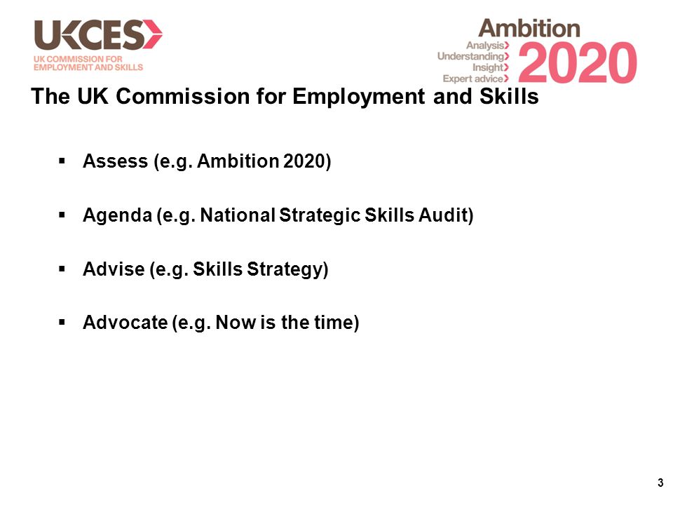 3  Assess (e.g. Ambition 2020)  Agenda (e.g. National Strategic Skills Audit)  Advise (e.g.