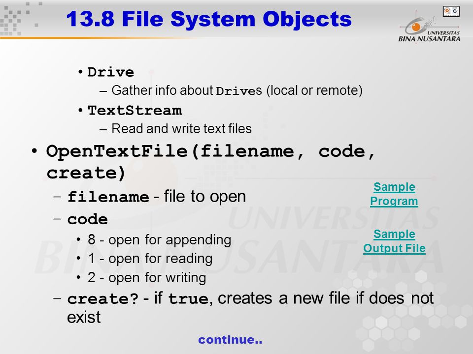 13.8 File System Objects Drive –Gather info about Drive s (local or remote) TextStream –Read and write text files OpenTextFile(filename, code, create) –filename - file to open –code 8 - open for appending 1 - open for reading 2 - open for writing –create.