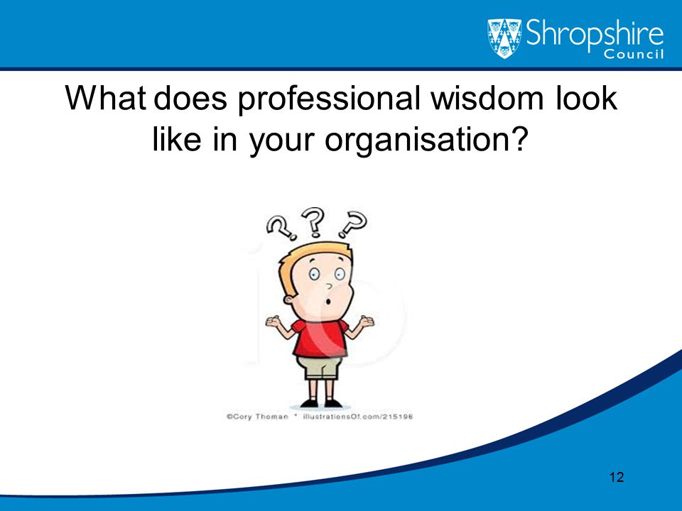 What does professional wisdom look like in your organisation 12