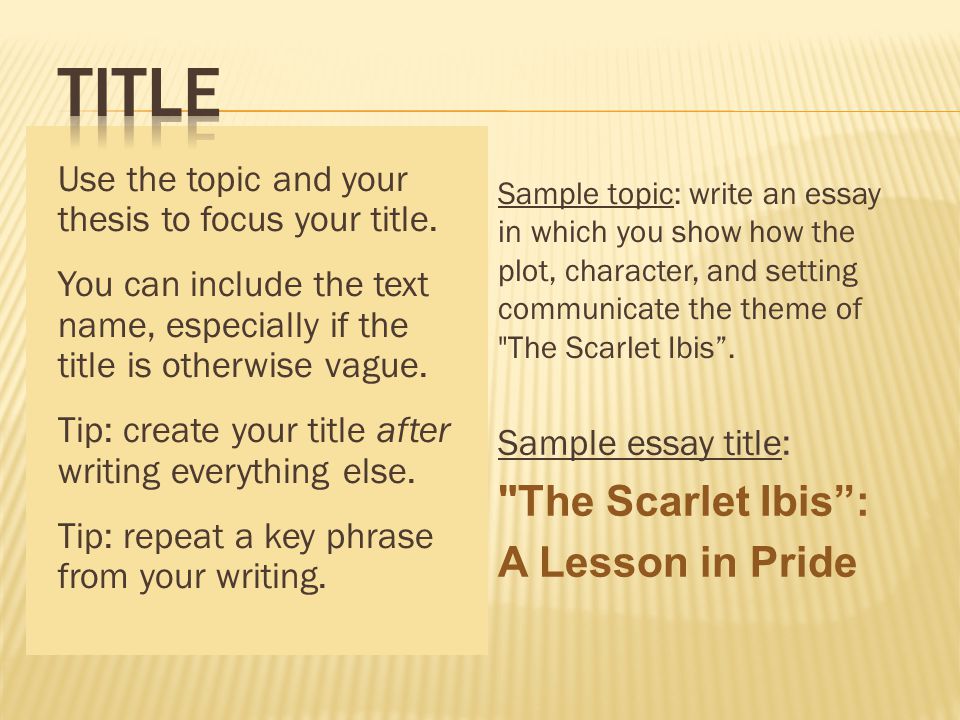 One Paragraph Essay