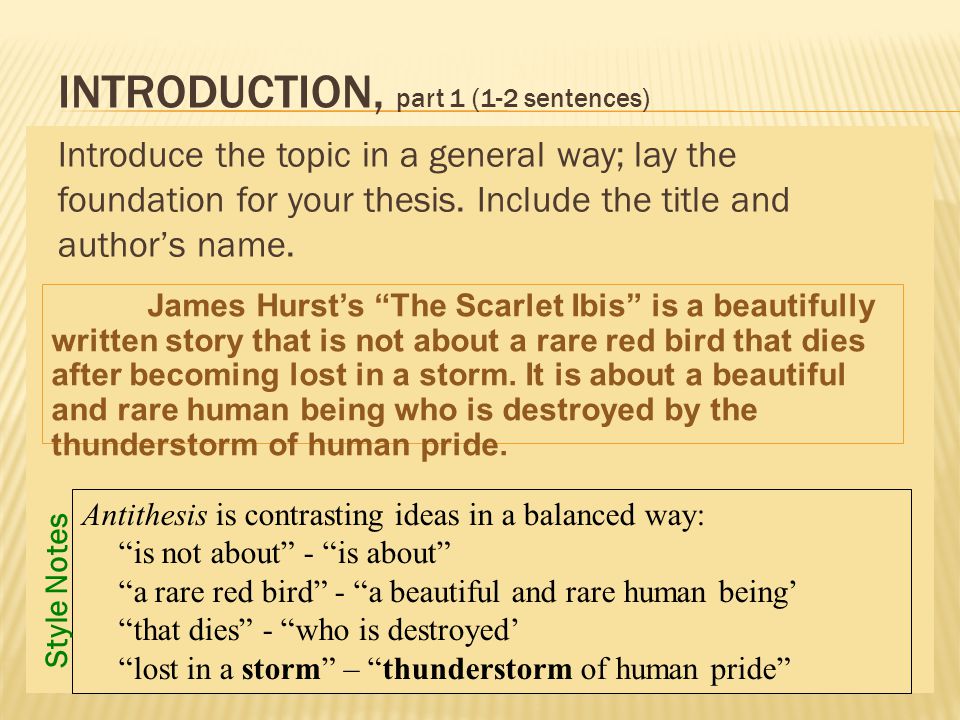 Scarlet ibis essay theme