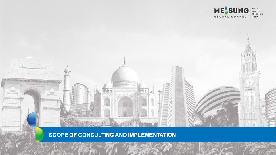 SCOPE OF CONSULTING AND IMPLEMENTATION