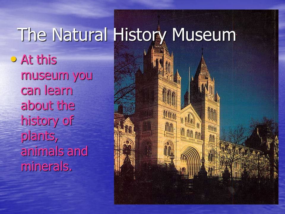 The Natural History Museum At this museum you can learn about the history of plants, animals and minerals.