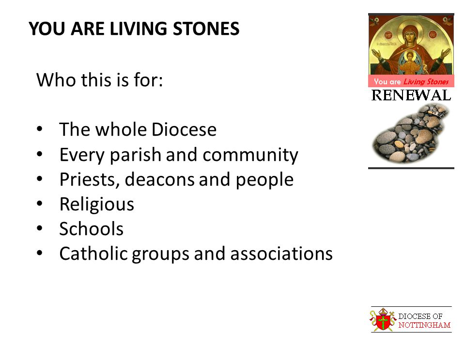 YOU ARE LIVING STONES Who this is for: The whole Diocese Every parish and community Priests, deacons and people Religious Schools Catholic groups and associations
