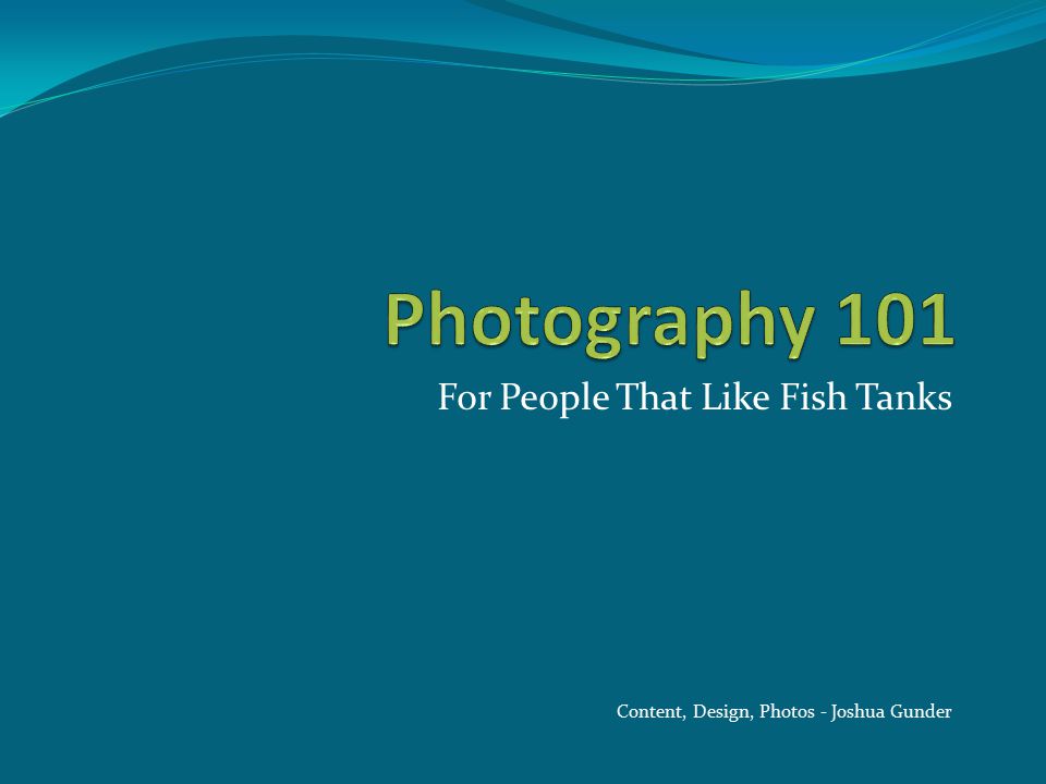 For People That Like Fish Tanks Content, Design, Photos - Joshua Gunder