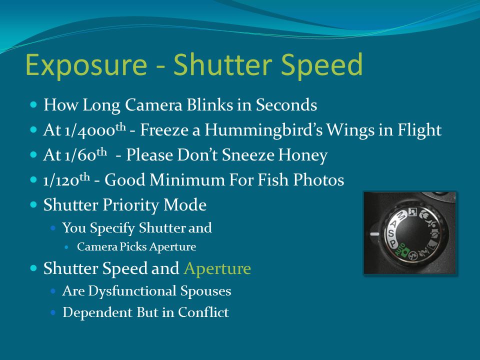 Exposure - Shutter Speed How Long Camera Blinks in Seconds At 1/4000 th - Freeze a Hummingbird’s Wings in Flight At 1/60 th - Please Don’t Sneeze Honey 1/120 th - Good Minimum For Fish Photos Shutter Priority Mode You Specify Shutter and Camera Picks Aperture Shutter Speed and Aperture Are Dysfunctional Spouses Dependent But in Conflict