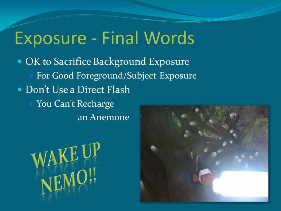 Exposure - Final Words OK to Sacrifice Background Exposure For Good Foreground/Subject Exposure Don’t Use a Direct Flash You Can’t Recharge an Anemone
