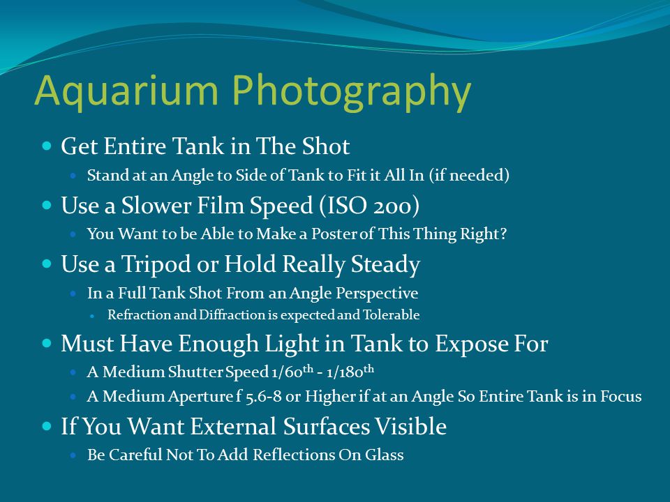 Aquarium Photography Get Entire Tank in The Shot Stand at an Angle to Side of Tank to Fit it All In (if needed) Use a Slower Film Speed (ISO 200) You Want to be Able to Make a Poster of This Thing Right.