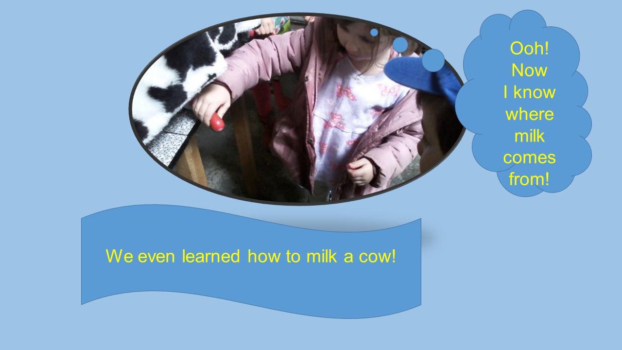 We even learned how to milk a cow! Ooh! Now I know where milk comes from!