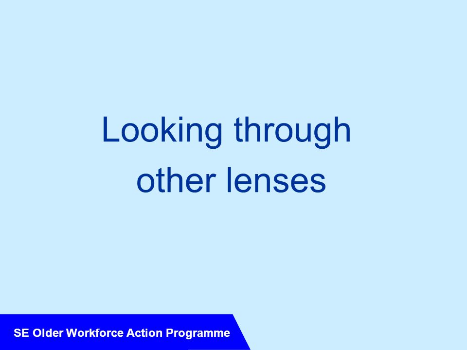 SE Older Workforce Action Programme Looking through other lenses
