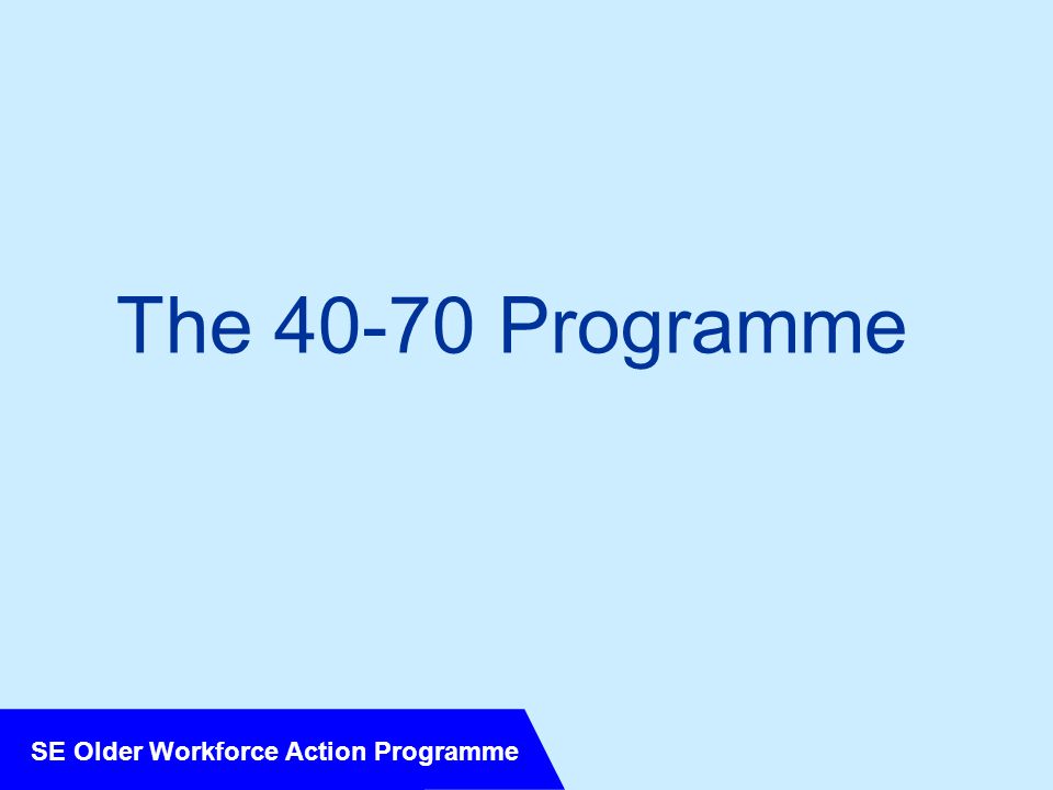 SE Older Workforce Action Programme The Programme