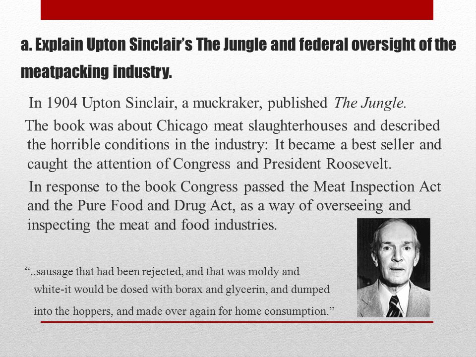 a. Explain Upton Sinclair’s The Jungle and federal oversight of the meatpacking industry.