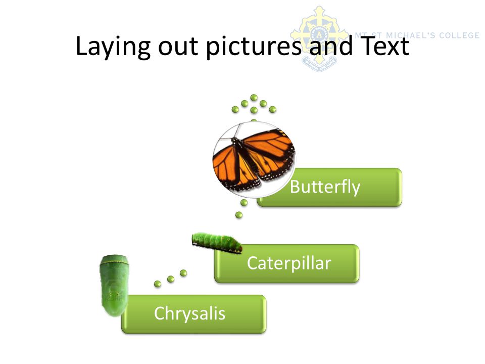 Laying out pictures and Text ChrysalisCaterpillarButterfly