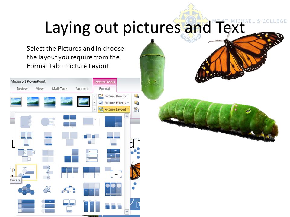 Laying out pictures and Text Select the Pictures and in choose the layout you require from the Format tab – Picture Layout
