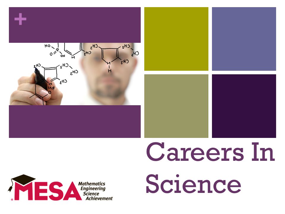 + Careers In Science Discover the Possibilities
