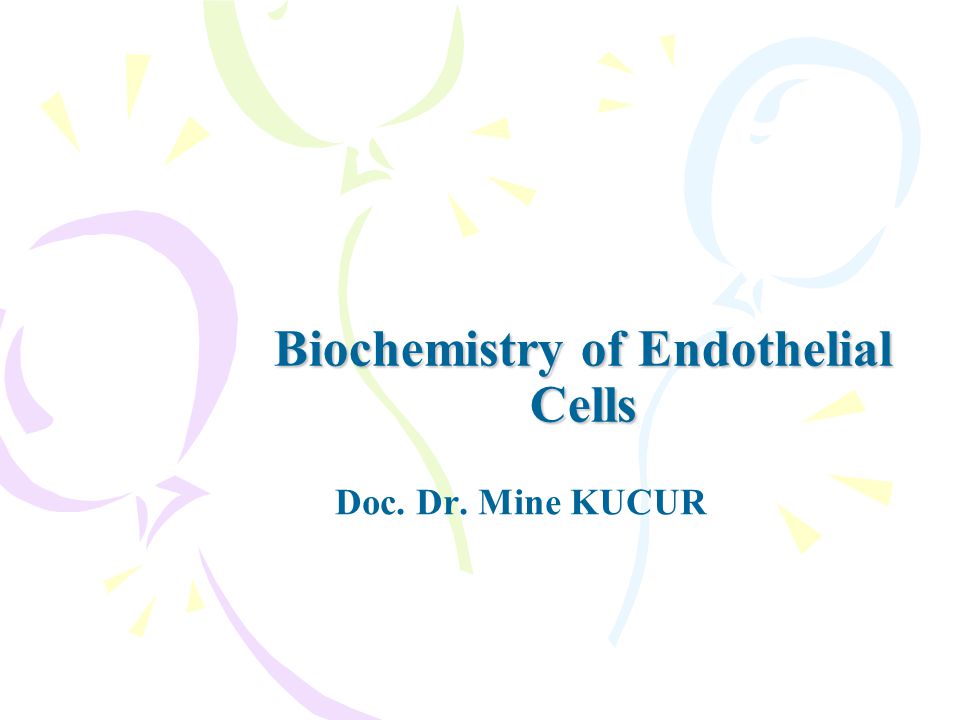 Biochemistry of Endothelial Cells Doc. Dr. Mine KUCUR