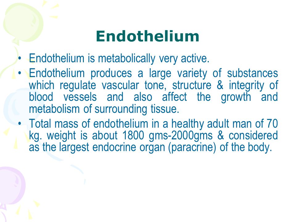 Endothelium Endothelium is metabolically very active.