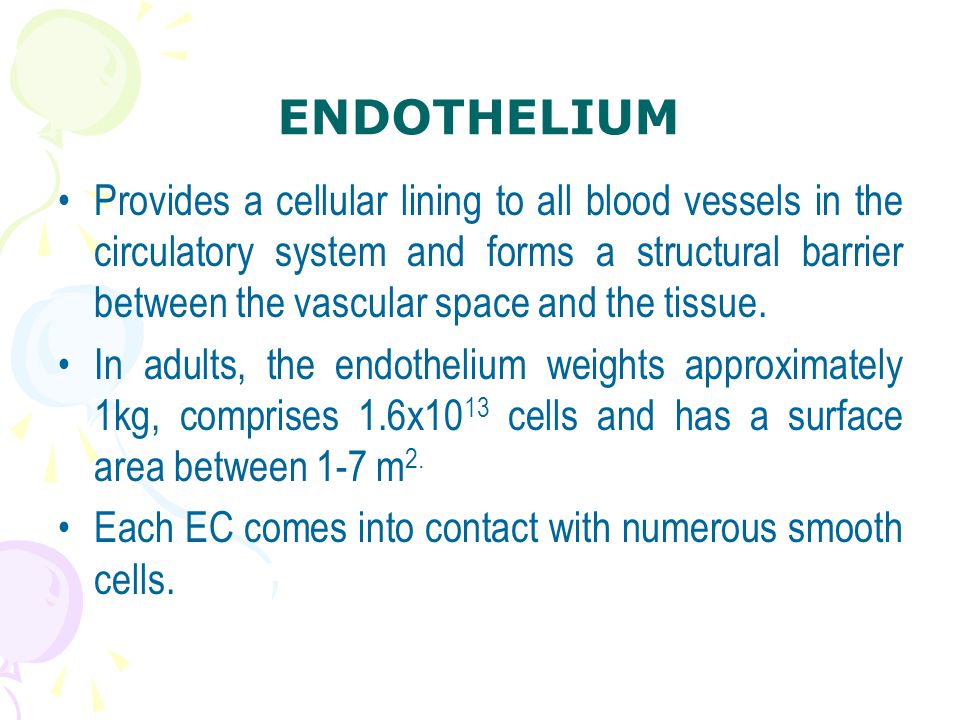 ENDOTHELIUM Provides a cellular lining to all blood vessels in the circulatory system and forms a structural barrier between the vascular space and the tissue.