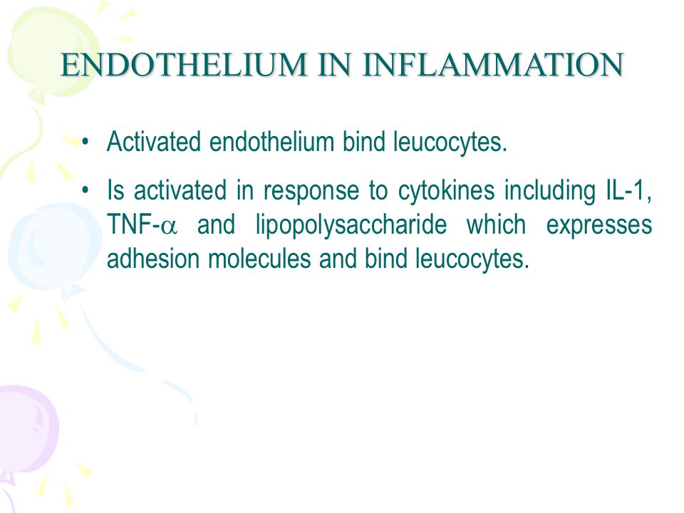 Activated endothelium bind leucocytes.