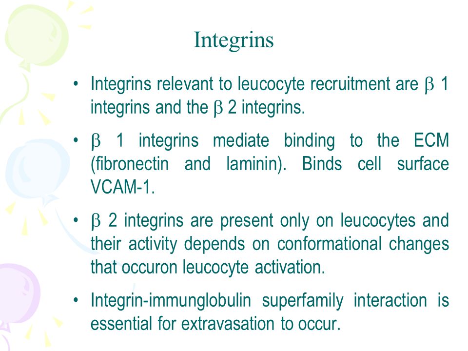 Integrins relevant to leucocyte recruitment are  1 integrins and the  2 integrins.