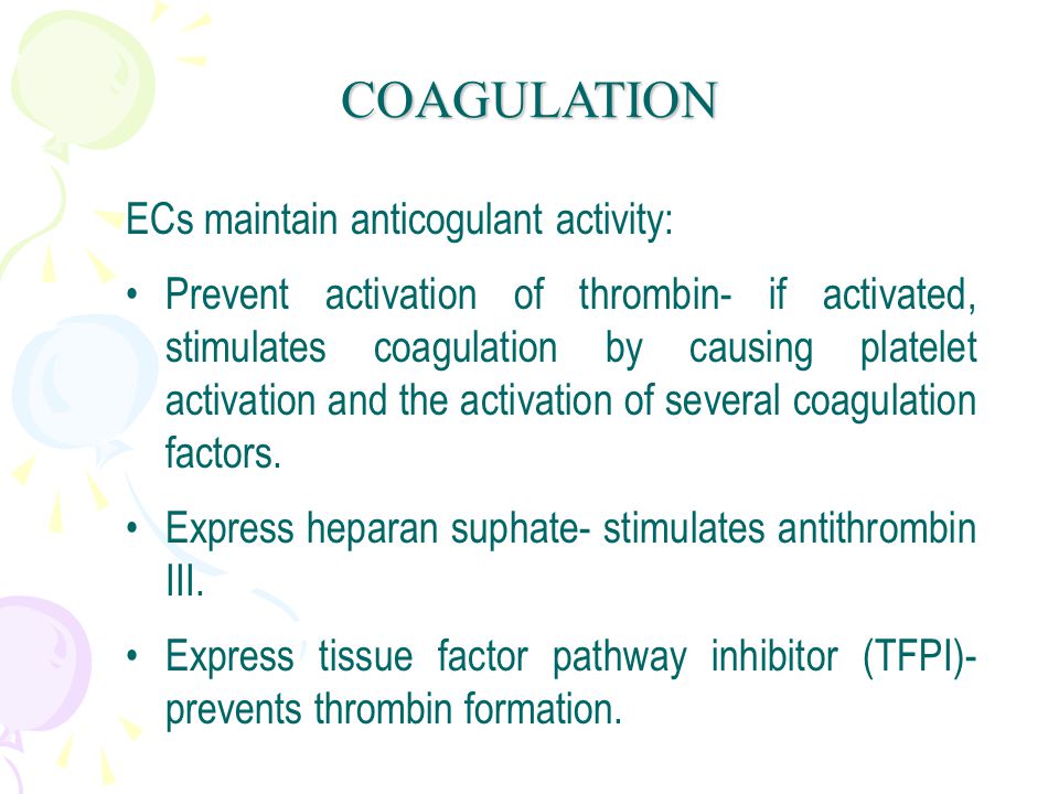 ECs maintain anticogulant activity: Prevent activation of thrombin- if activated, stimulates coagulation by causing platelet activation and the activation of several coagulation factors.