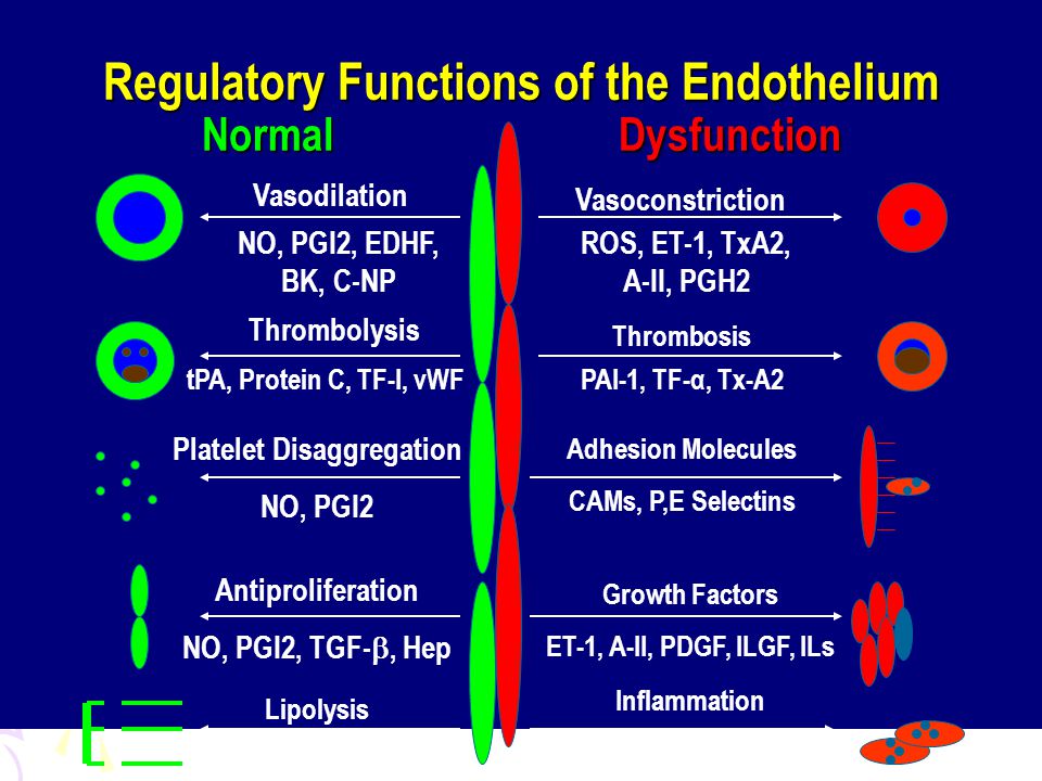 Regulatory Functions of the Endothelium NormalDysfunction Vasodilation Vasoconstriction NO, PGI2, EDHF, BK, C-NP ROS, ET-1, TxA2, A-II, PGH2 Thrombolysis Thrombosis Platelet Disaggregation NO, PGI2 Adhesion Molecules CAMs, P,E Selectins Antiproliferation NO, PGI2, TGF- , Hep Growth Factors ET-1, A-II, PDGF, ILGF, ILs Lipolysis Inflammation ROS, NF-  B PAI-1, TF-α, Tx-A2tPA, Protein C, TF-I, vWF LPL Vogel R