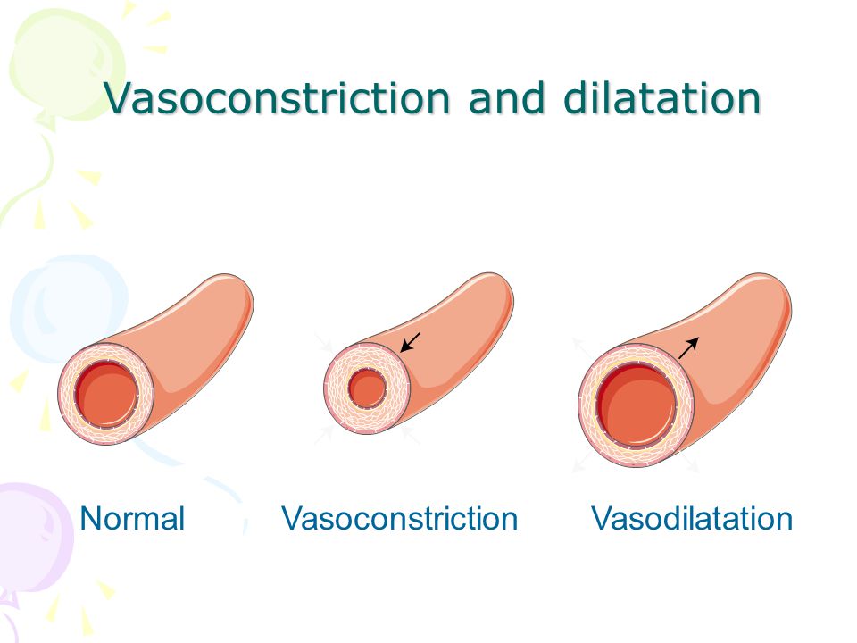 Vasoconstriction and dilatation NormalVasoconstrictionVasodilatation