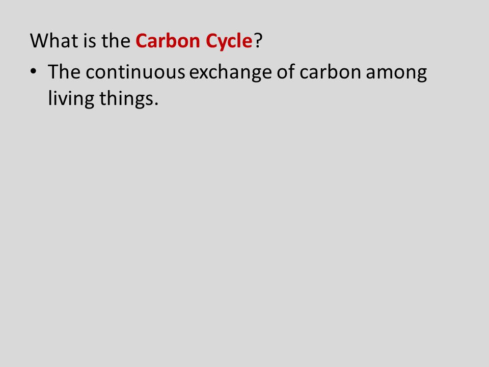 What is the Carbon Cycle The continuous exchange of carbon among living things.