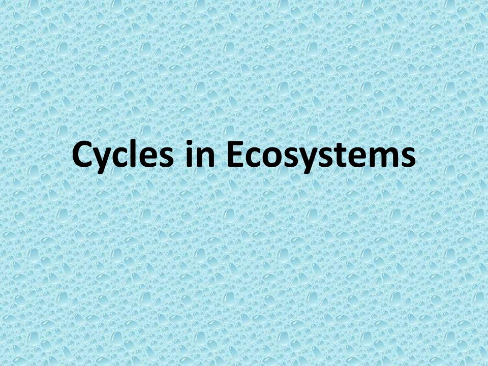 Cycles in Ecosystems