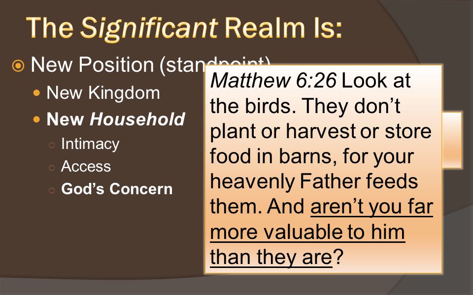  New Position (standpoint) New Kingdom New Household ○ Intimacy ○ Access ○ God’s Concern …with the saints, and are of God s household Matthew 6:26 Look at the birds.