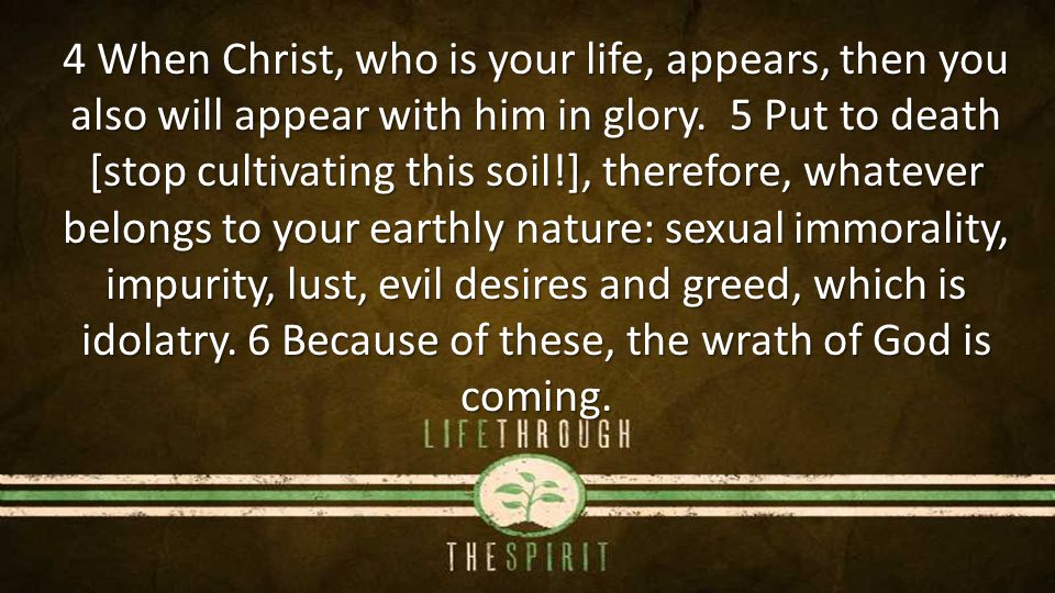 4 When Christ, who is your life, appears, then you also will appear with him in glory.