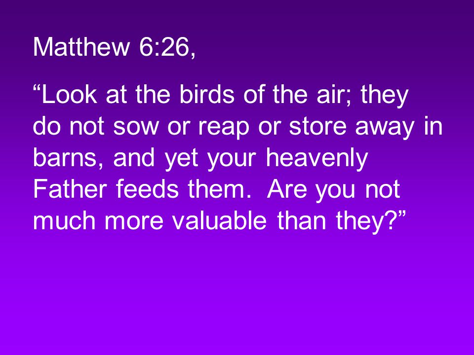 Matthew 6:26, Look at the birds of the air; they do not sow or reap or store away in barns, and yet your heavenly Father feeds them.