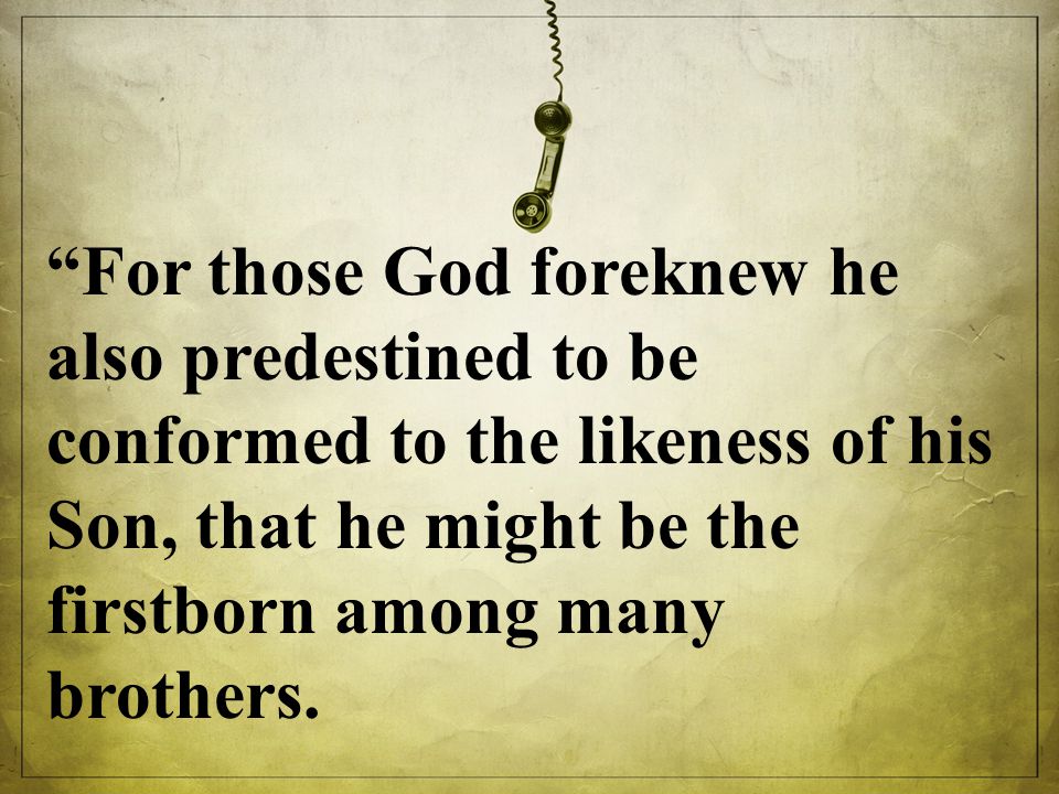 For those God foreknew he also predestined to be conformed to the likeness of his Son, that he might be the firstborn among many brothers.
