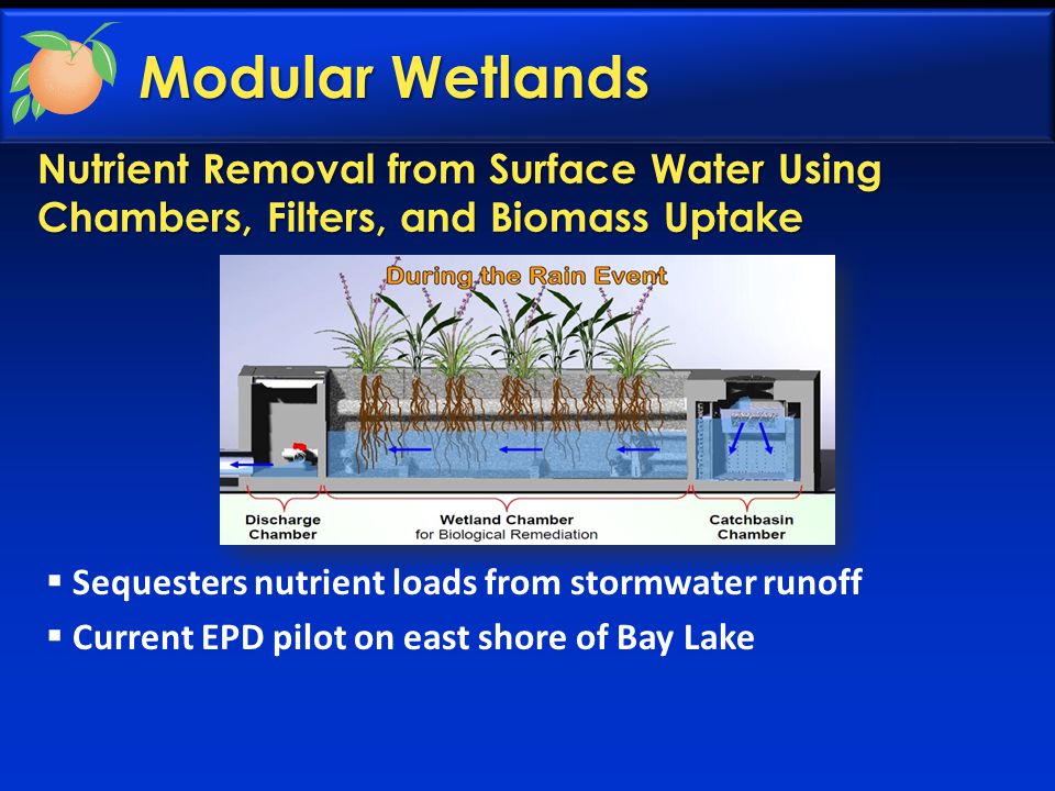 Modular Wetlands Nutrient Removal from Surface Water Using Chambers, Filters, and Biomass Uptake  Sequesters nutrient loads from stormwater runoff  Current EPD pilot on east shore of Bay Lake