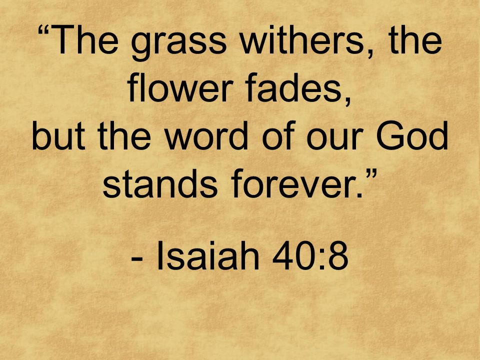 The grass withers, the flower fades, but the word of our God stands forever. - Isaiah 40:8