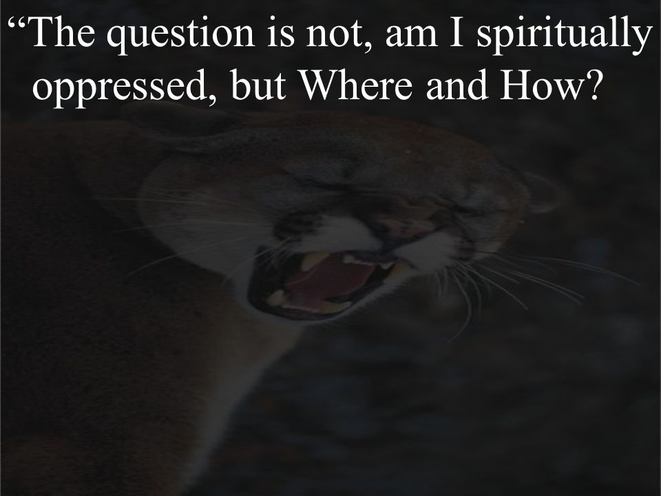 The question is not, am I spiritually oppressed, but Where and How