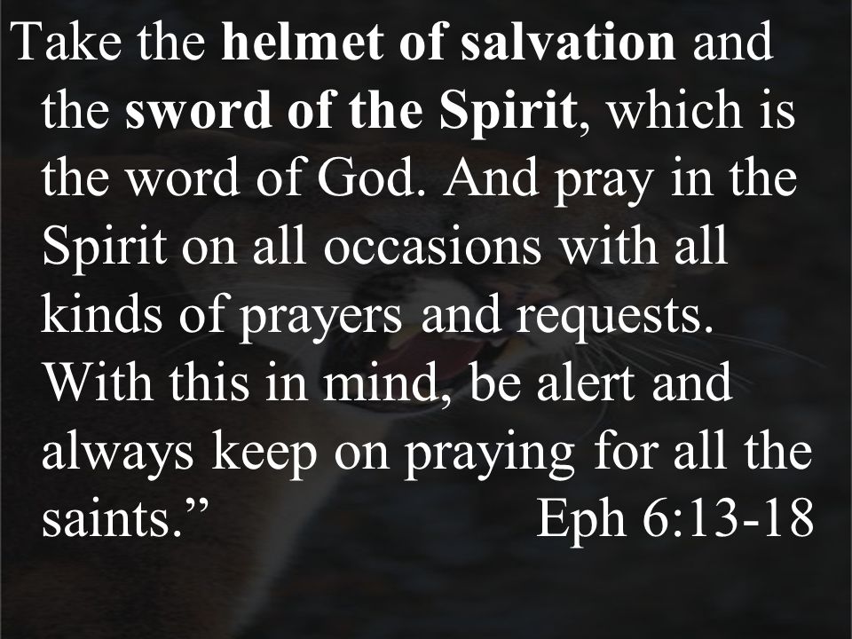 Take the helmet of salvation and the sword of the Spirit, which is the word of God.