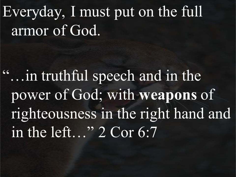 Everyday, I must put on the full armor of God.