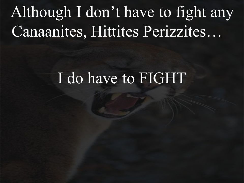 Although I don’t have to fight any Canaanites, Hittites Perizzites… I do have to FIGHT