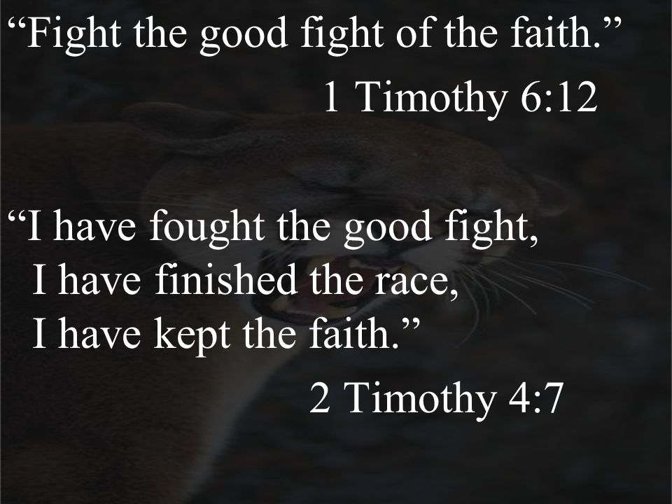 Fight the good fight of the faith. 1 Timothy 6:12 I have fought the good fight, I have finished the race, I have kept the faith. 2 Timothy 4:7