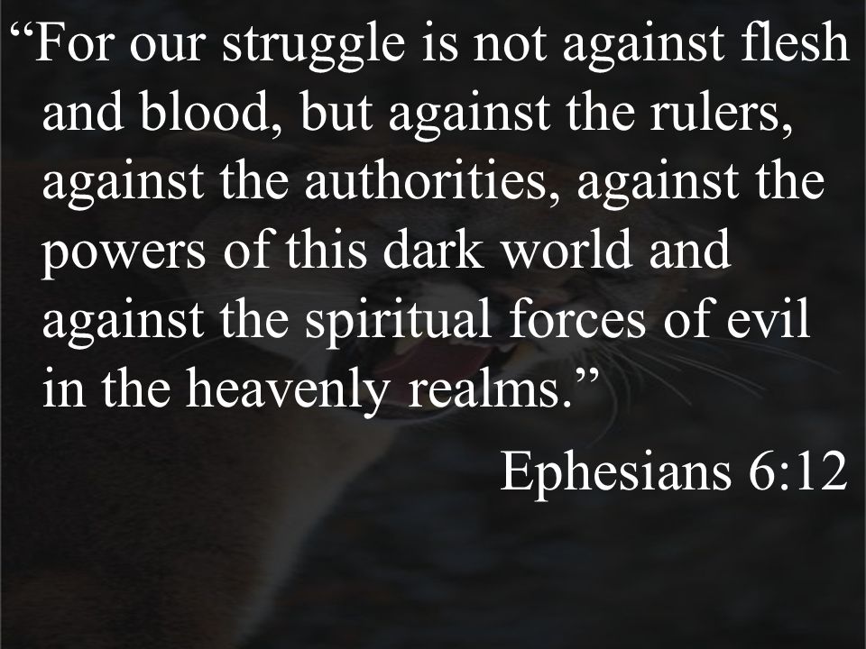 For our struggle is not against flesh and blood, but against the rulers, against the authorities, against the powers of this dark world and against the spiritual forces of evil in the heavenly realms. Ephesians 6:12