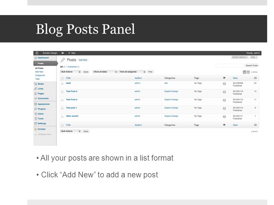 Blog Posts Panel All your posts are shown in a list format Click Add New to add a new post
