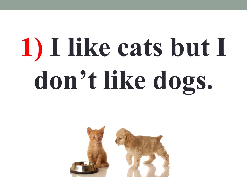 1) I like cats but I don’t like dogs.
