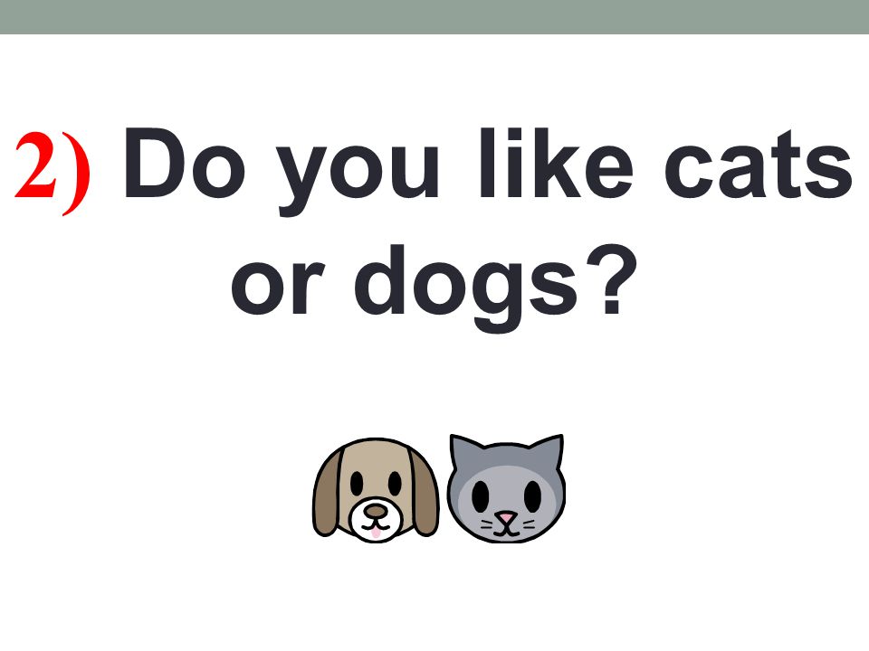 2) Do you like cats or dogs