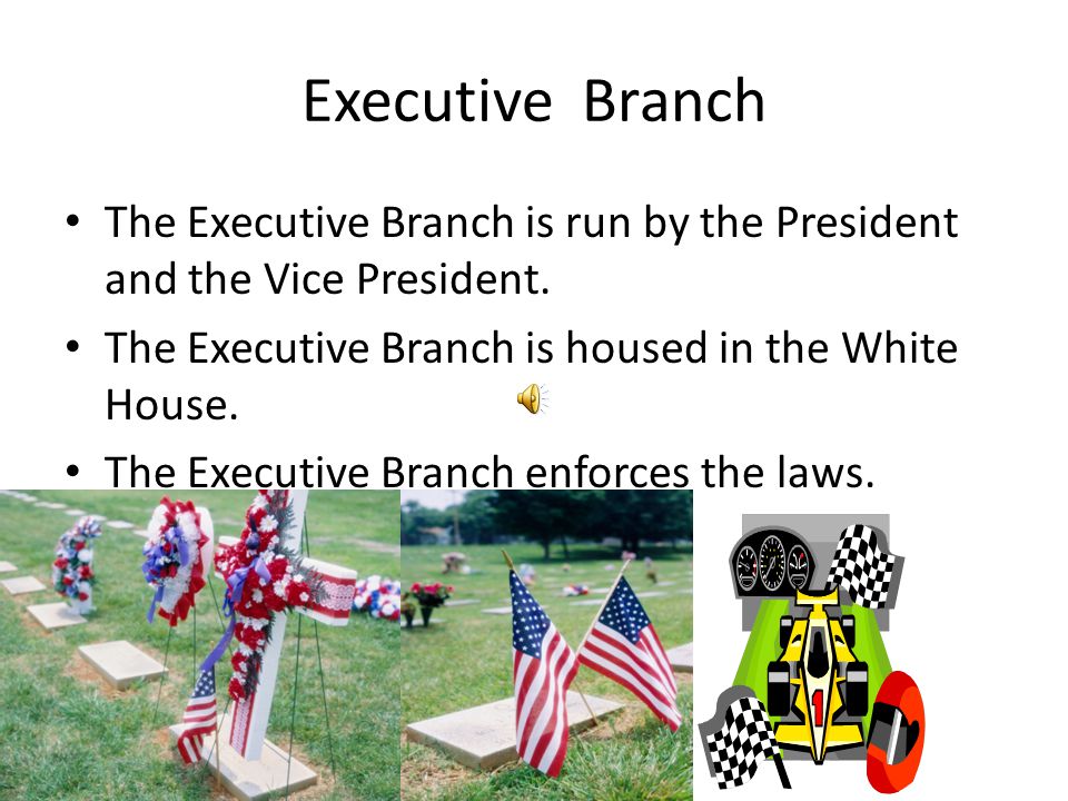 Three Branches of Government By Timothy